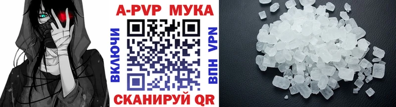 Купить закладки  Северобайкальск  Alpha PVP СК КРИС 