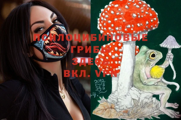 прущие грибы Переславль-Залесский