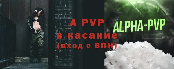 прущие грибы Переславль-Залесский