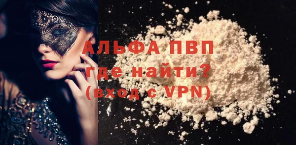 прущие грибы Переславль-Залесский