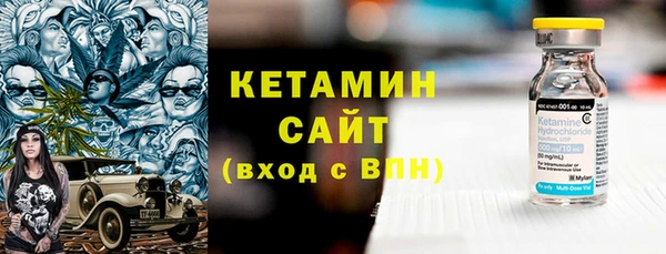 прущие грибы Переславль-Залесский
